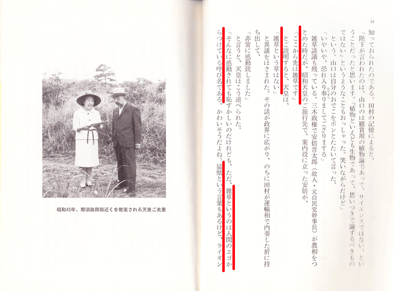 �w�É��̌䎿��x p.54-p.55